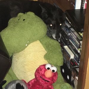 Meet your Posher, Patti